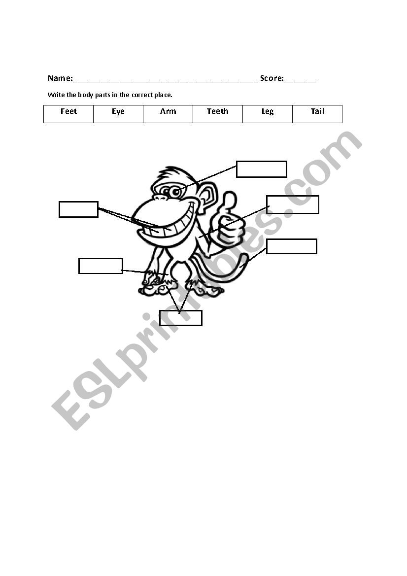 Body Parts worksheet