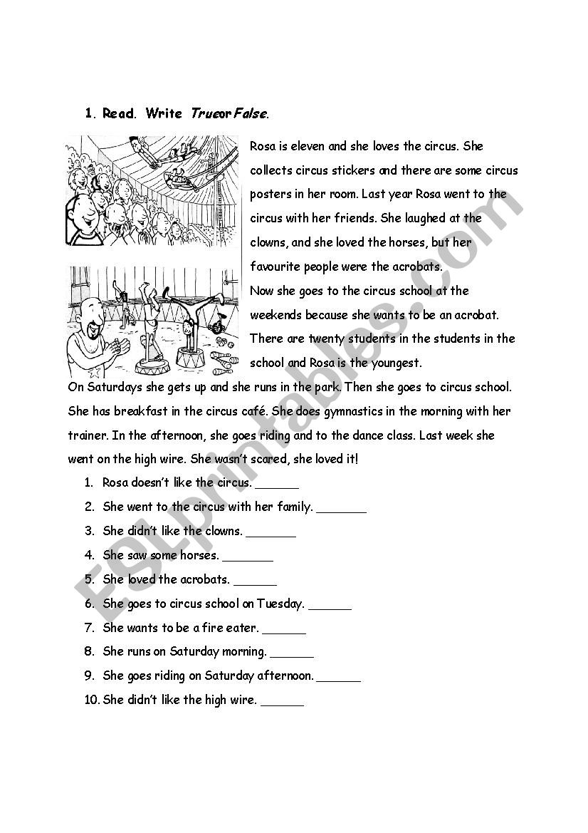 reading activity  worksheet