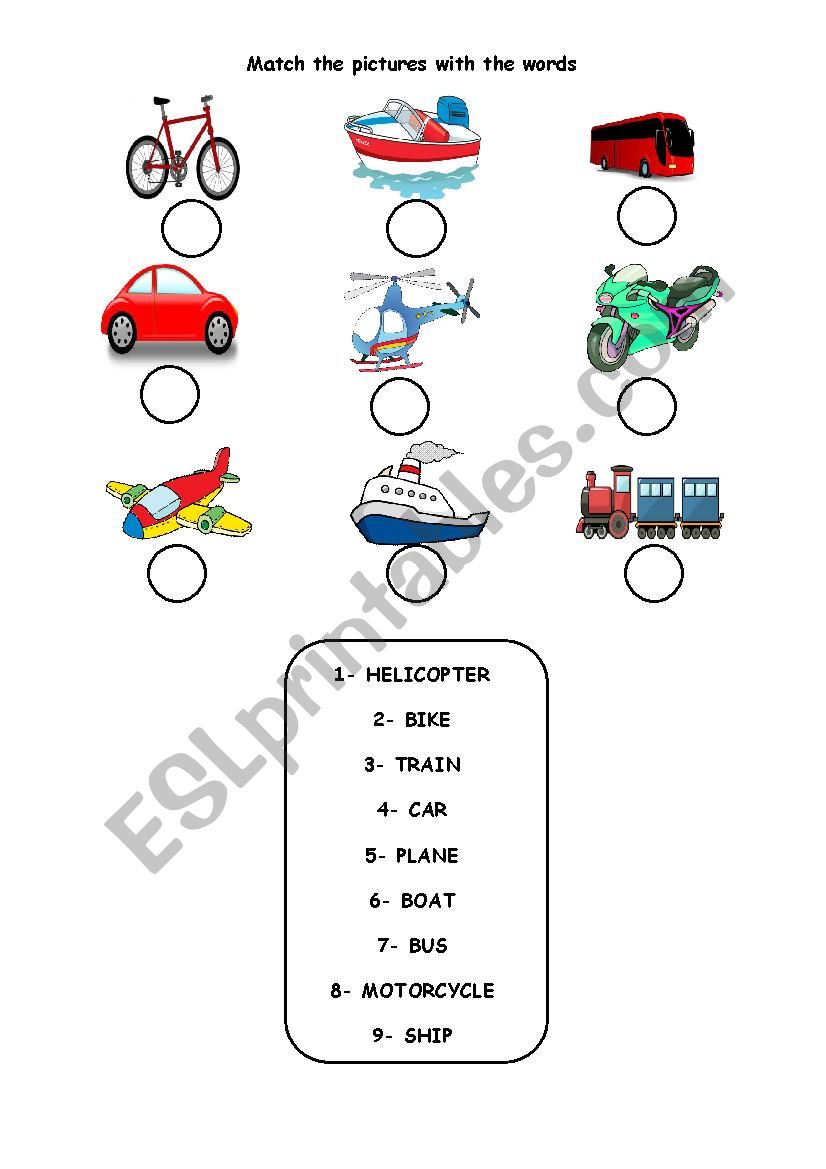 tarnsports worksheet