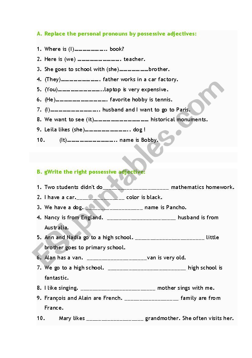 possesive  adjectives worksheet