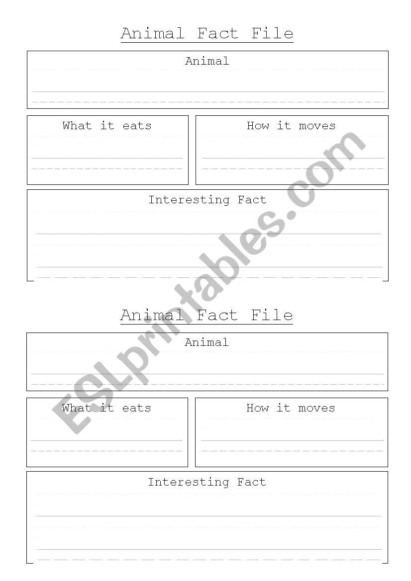 Information Report Organiser worksheet