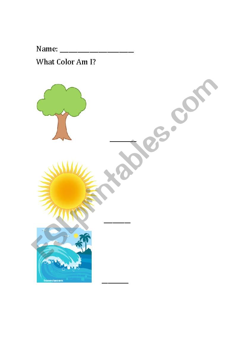 Color Identification worksheet