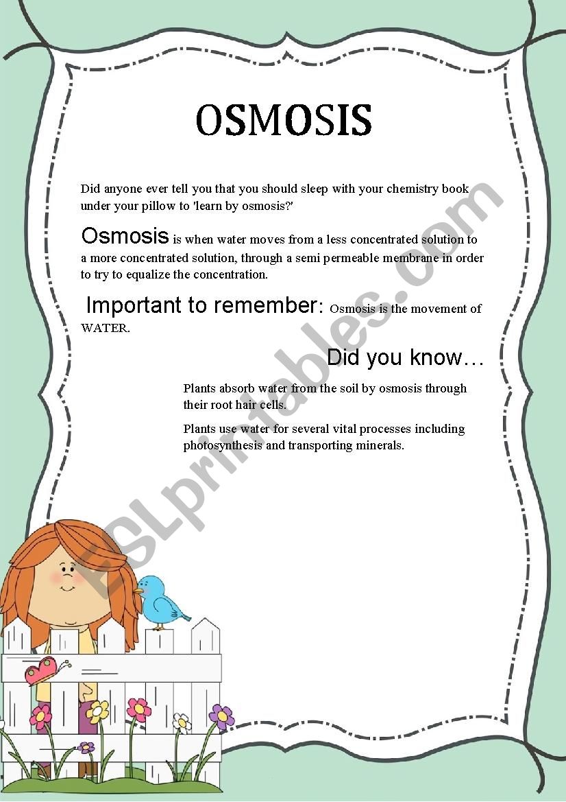 Osmosis worksheet