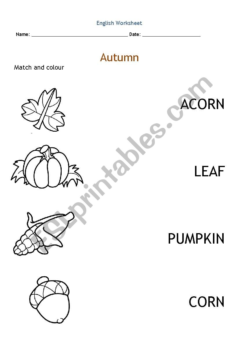 Autumn vocabulary worksheet