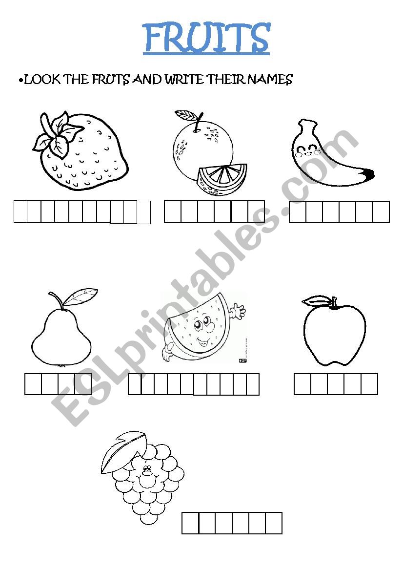 fruits worksheet