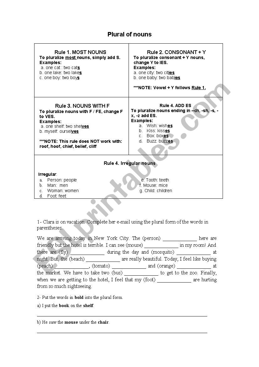 PLURAL OF NOUS worksheet