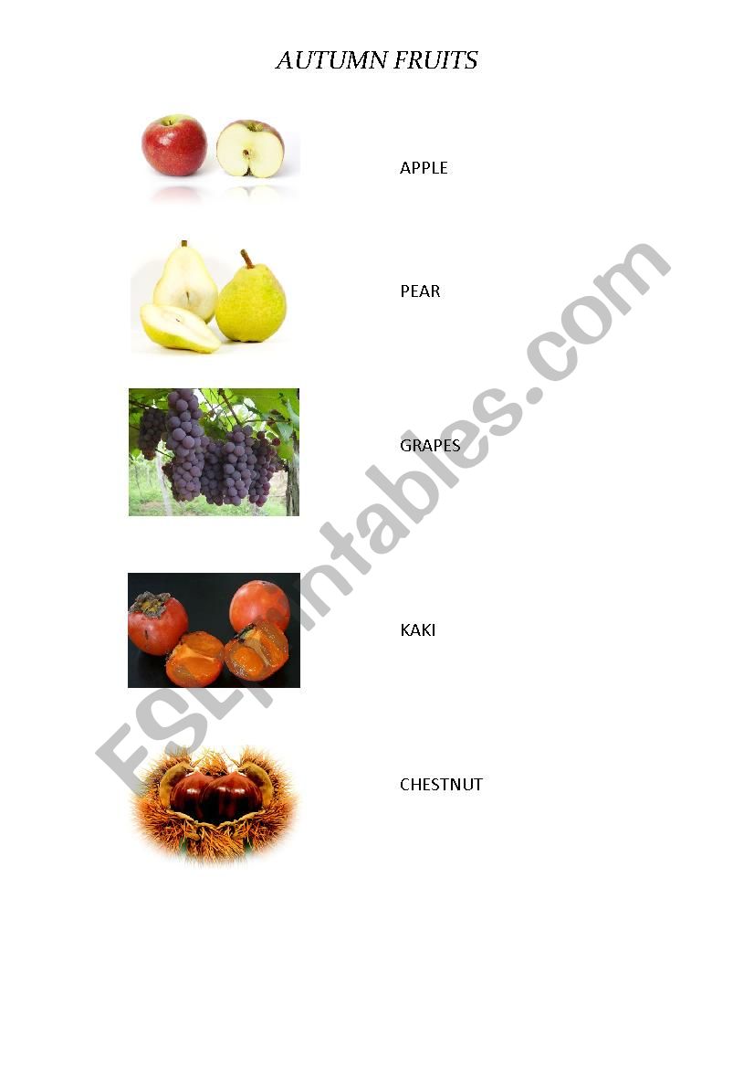 Autumn Fruits worksheet