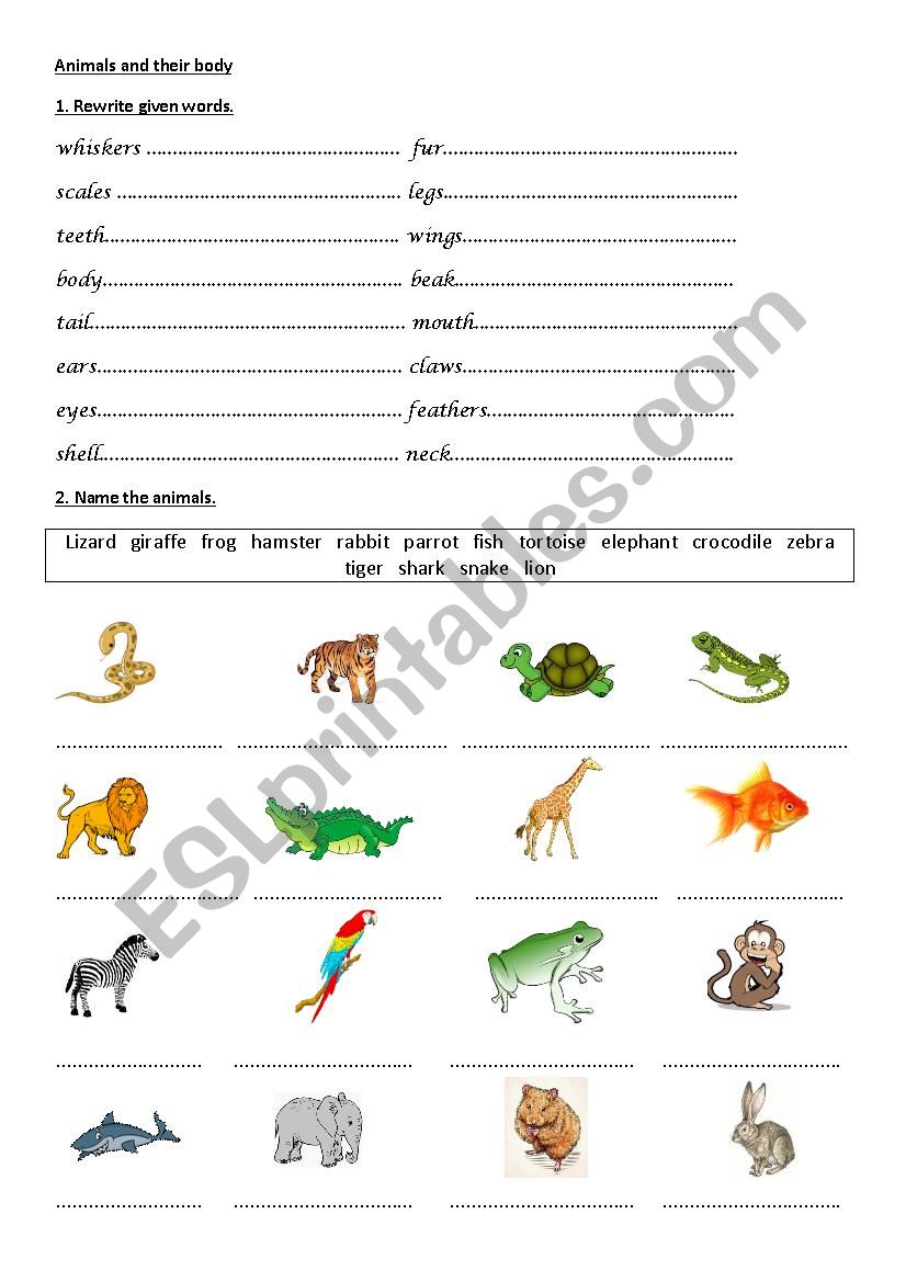 Animals and their body - ESL worksheet by Luiza90