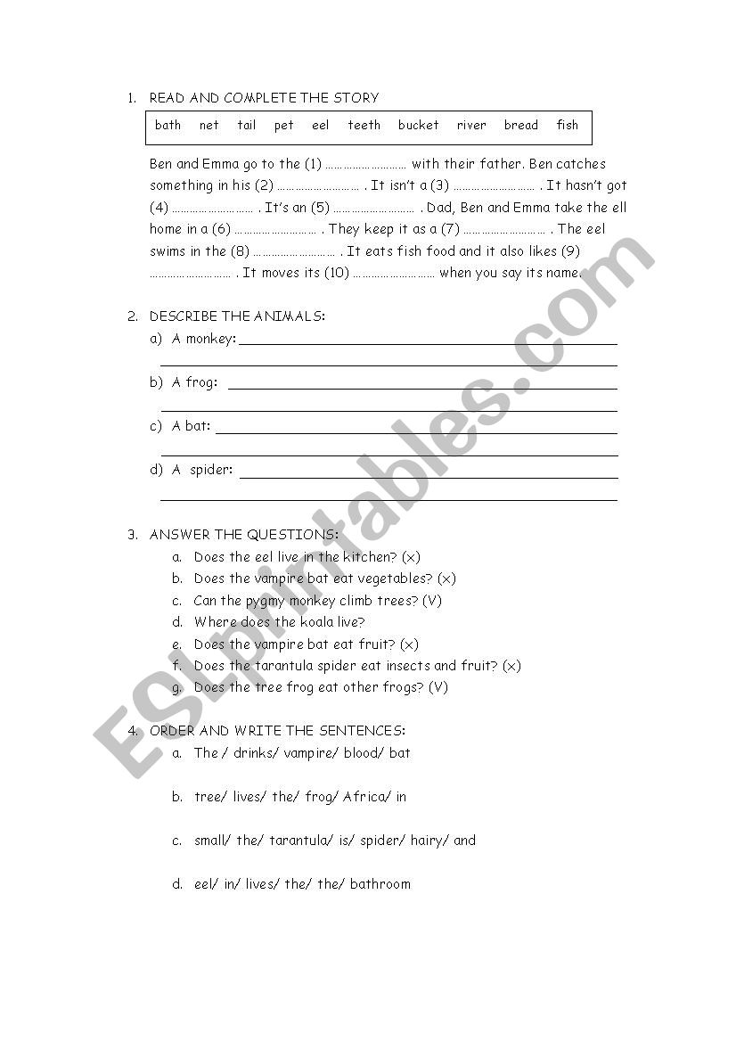 Exam worksheet