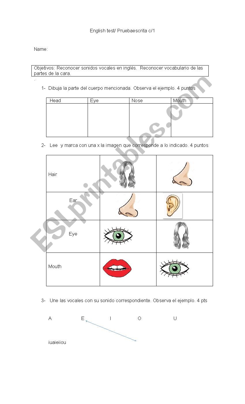 parts of the face worksheet