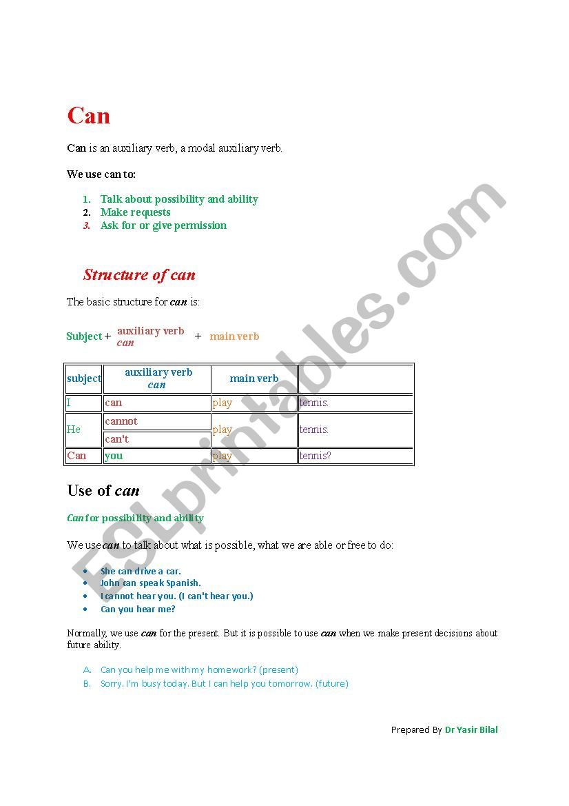 Use of can  worksheet