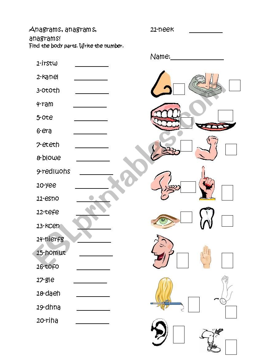 Anagrams on body parts worksheet