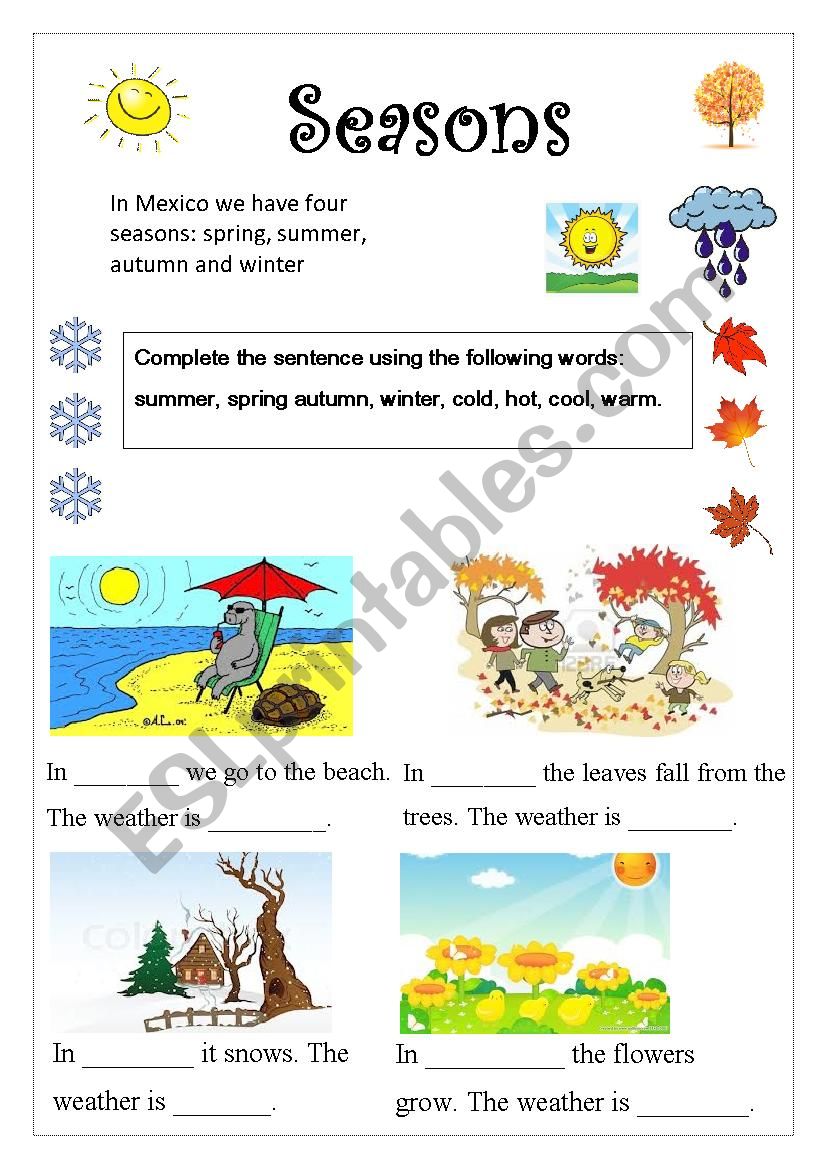 Seasons worksheet