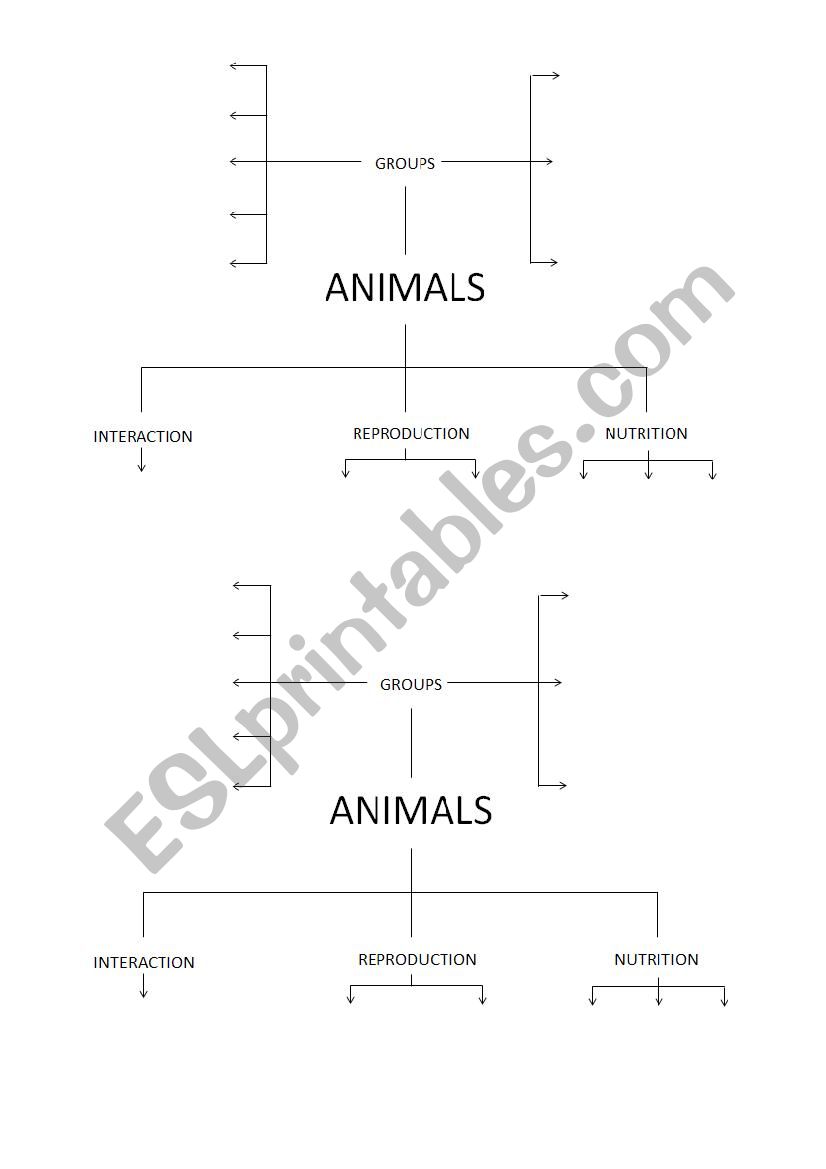 Animals scheme worksheet