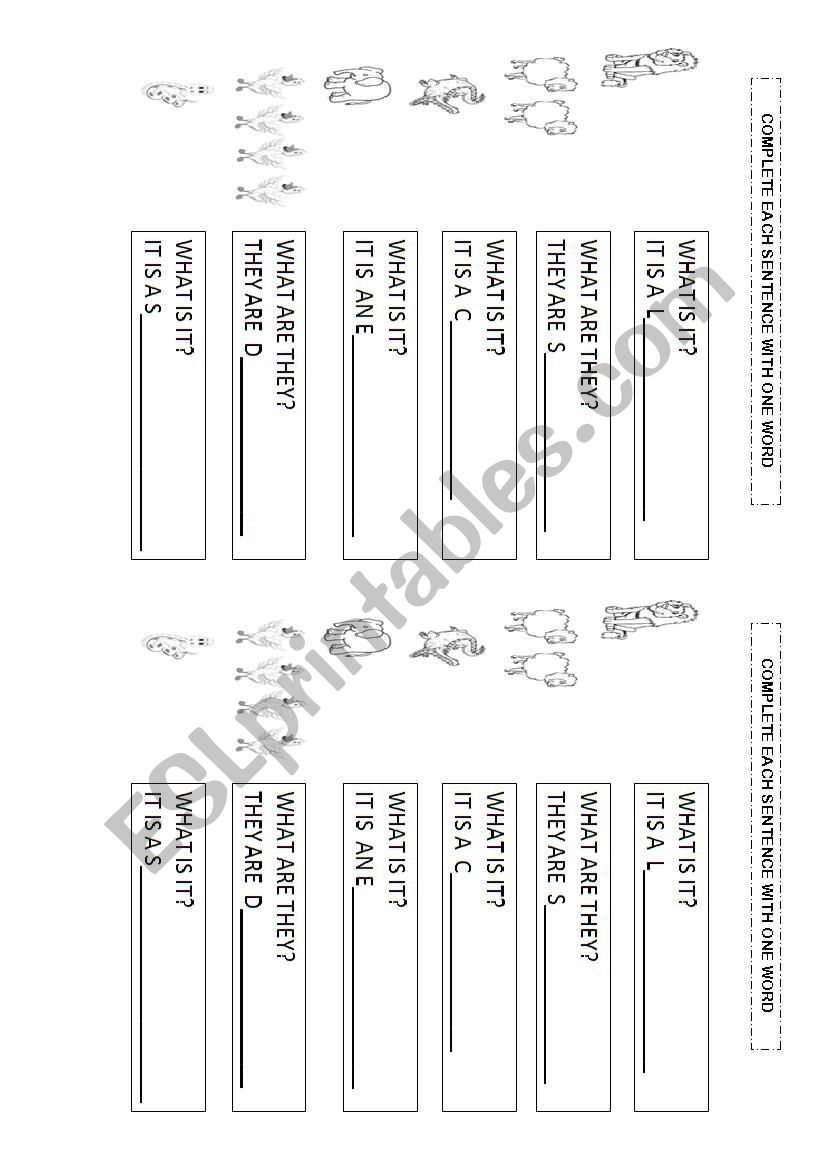 Animals worksheet