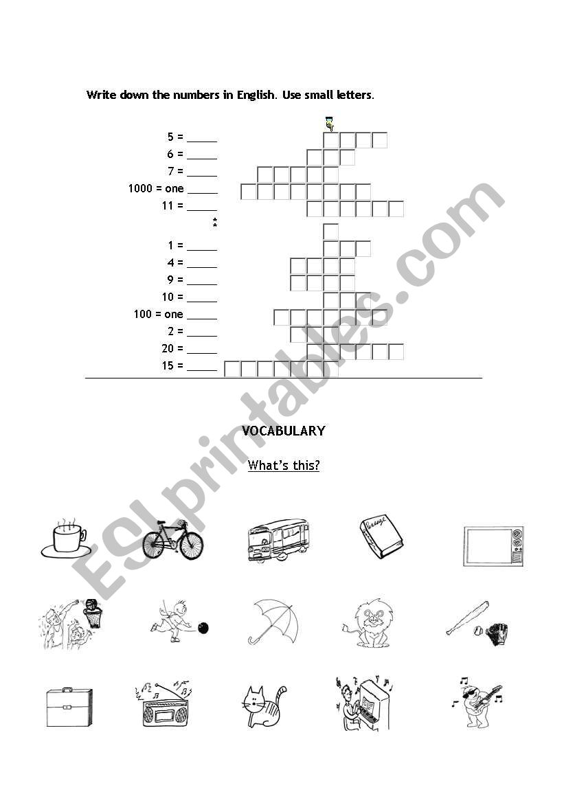 numbers and elementary vocabulary