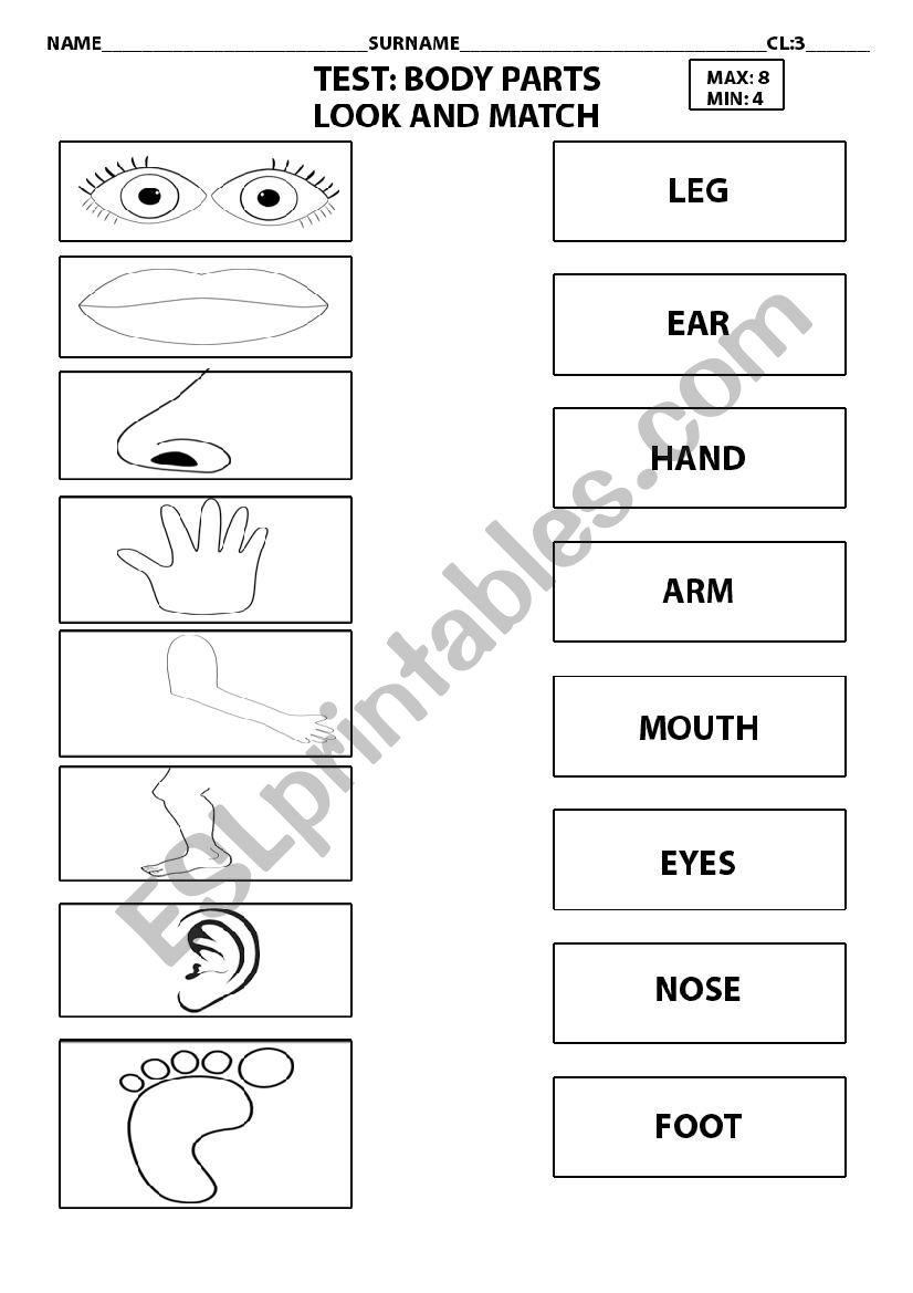 Body parts worksheet