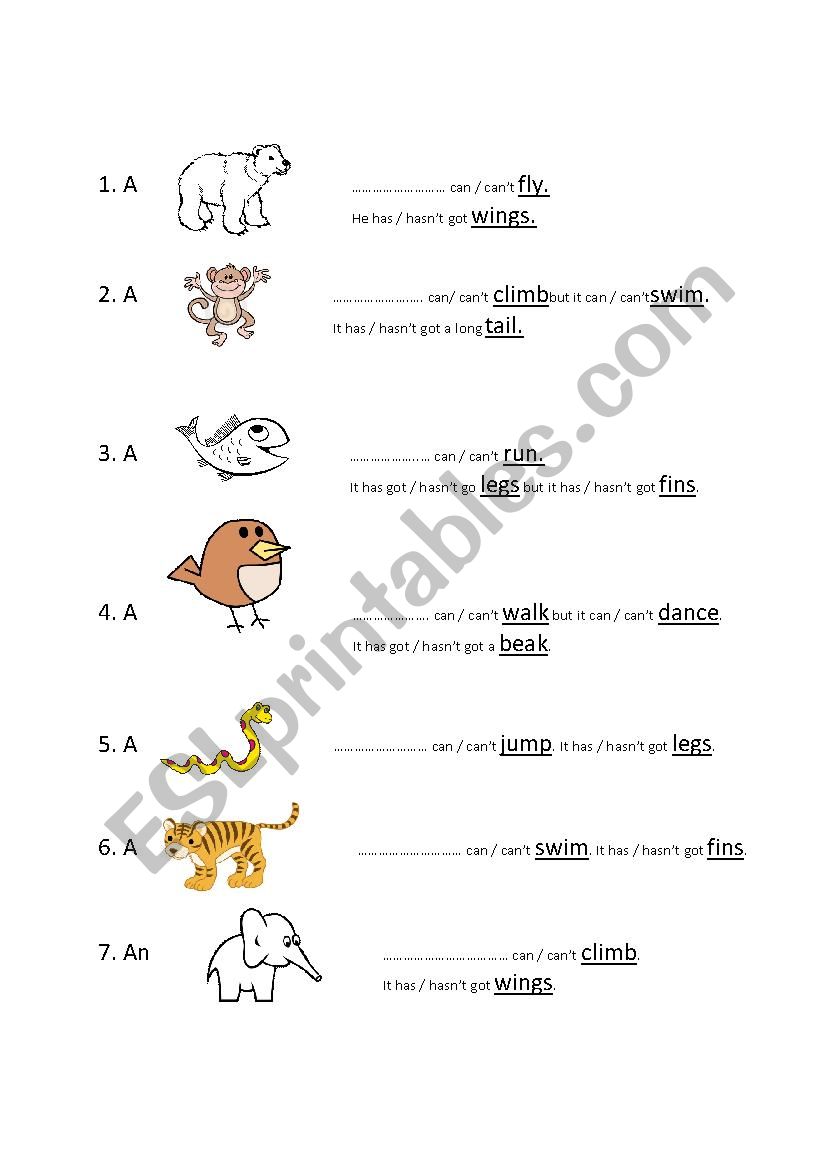 Animals Can And Action Verbs ESL Worksheet By Kurdeala