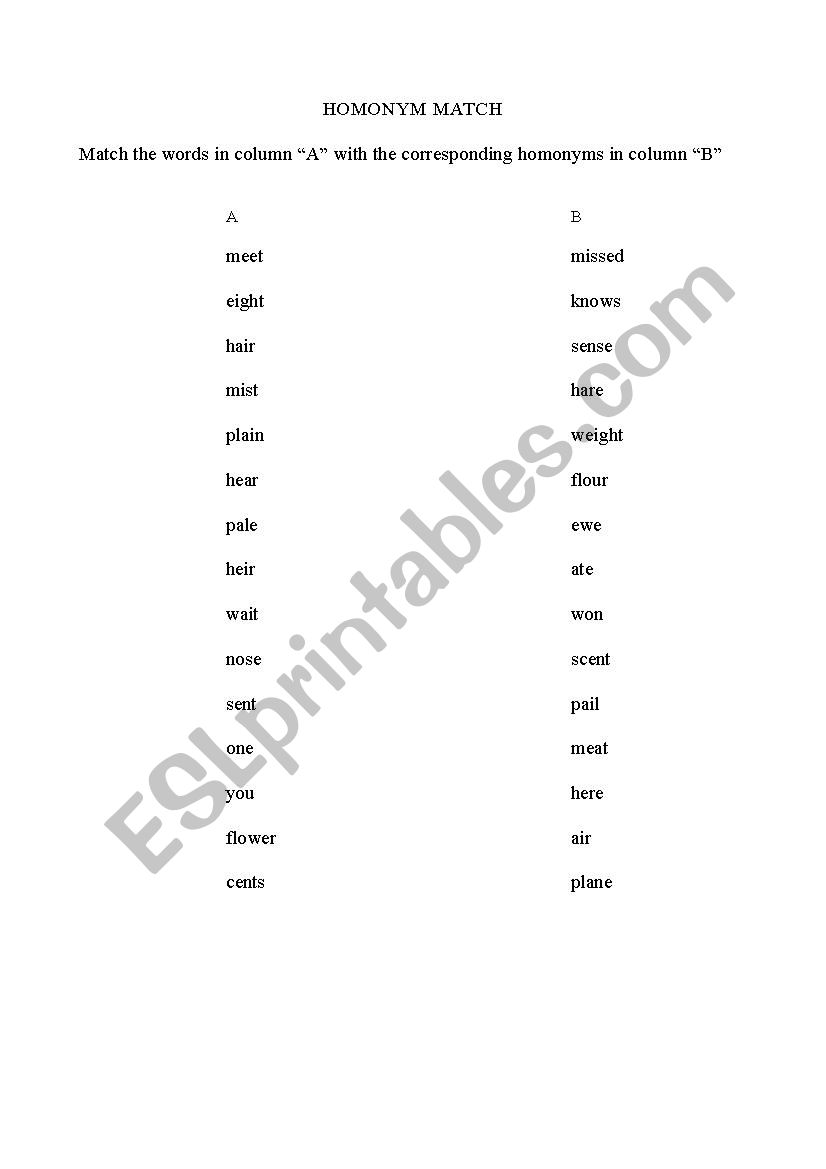 Homonym Matching Worksheet worksheet