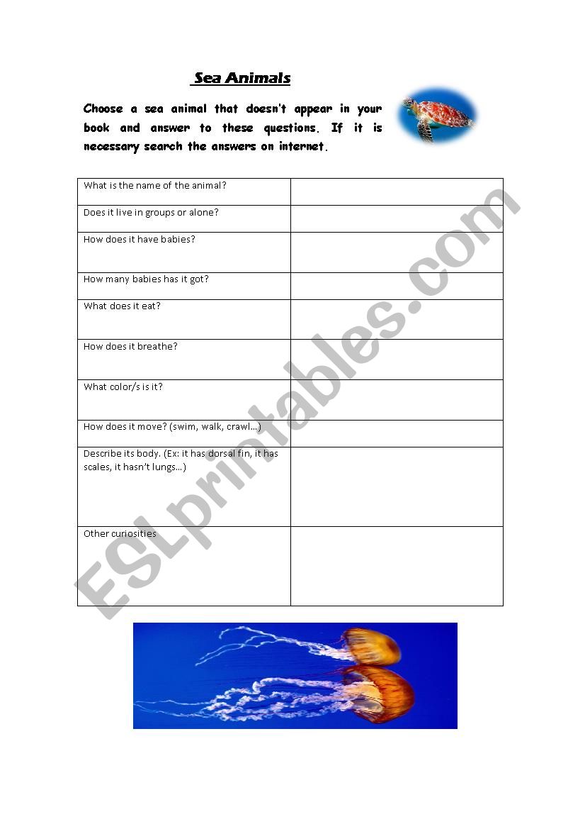 animals worksheet