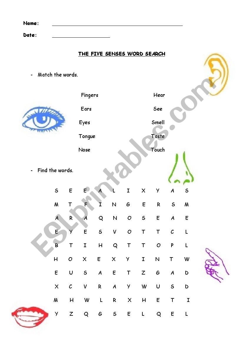 crossword 5 senses ESL worksheet by gvineta