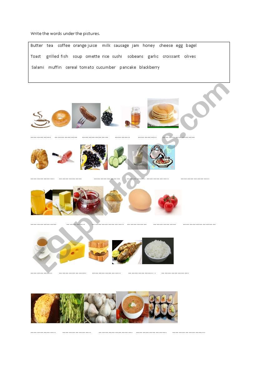 food worksheet