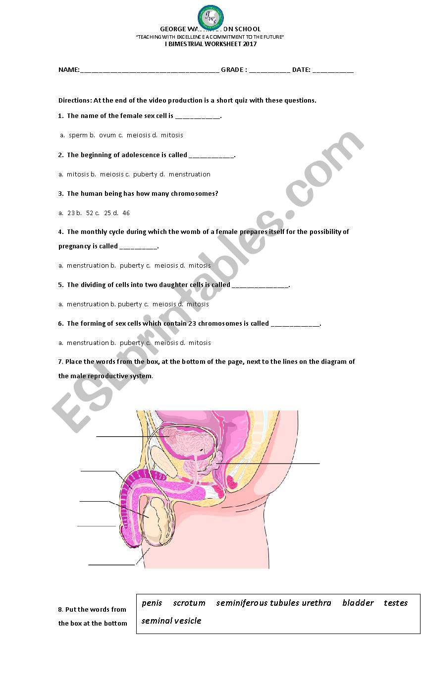 WORSHOP SCIENCE 1 worksheet