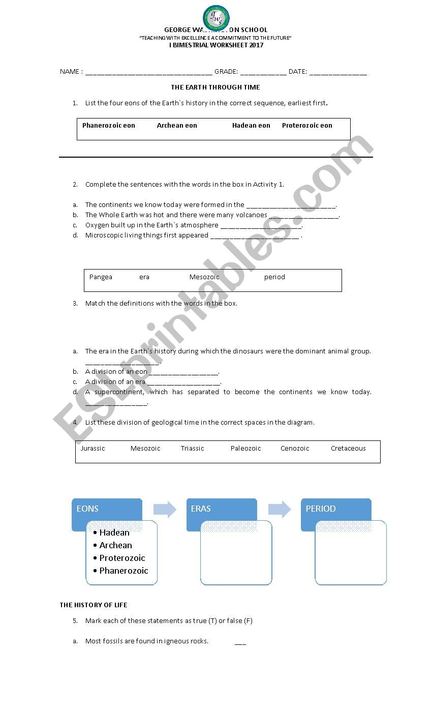 Social Studies worksheet