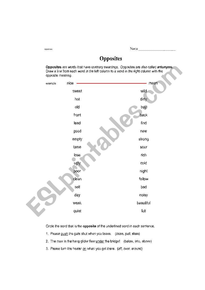 Opposites Worksheet worksheet