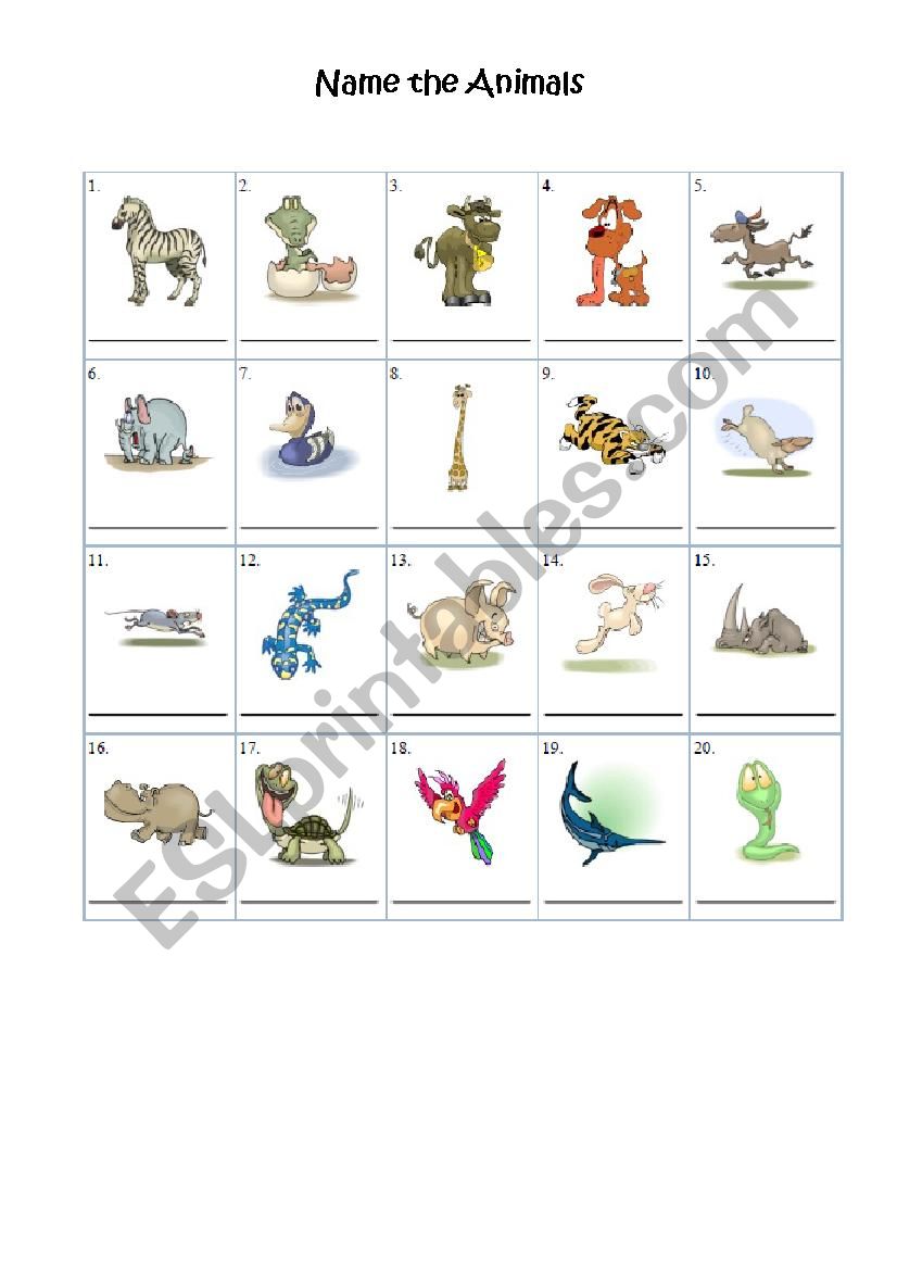 Animals worksheet