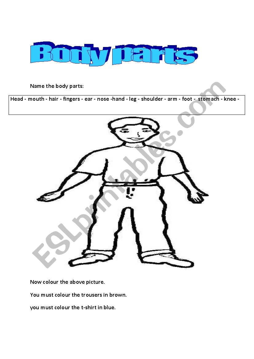 body parts worksheet