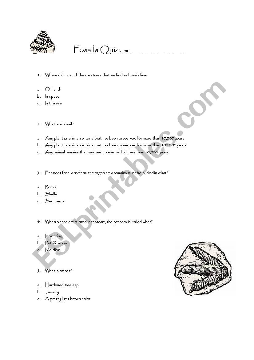 Fossils Quiz worksheet