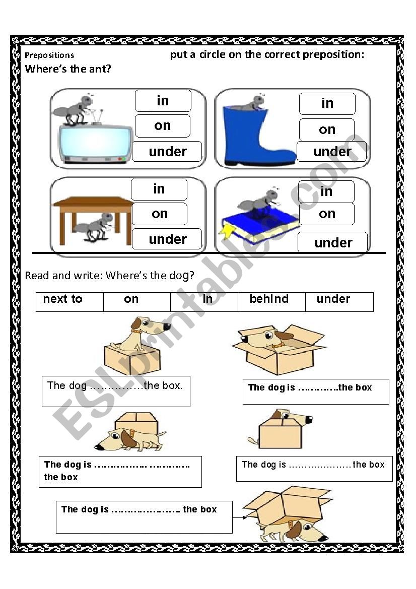 prepositions  worksheet