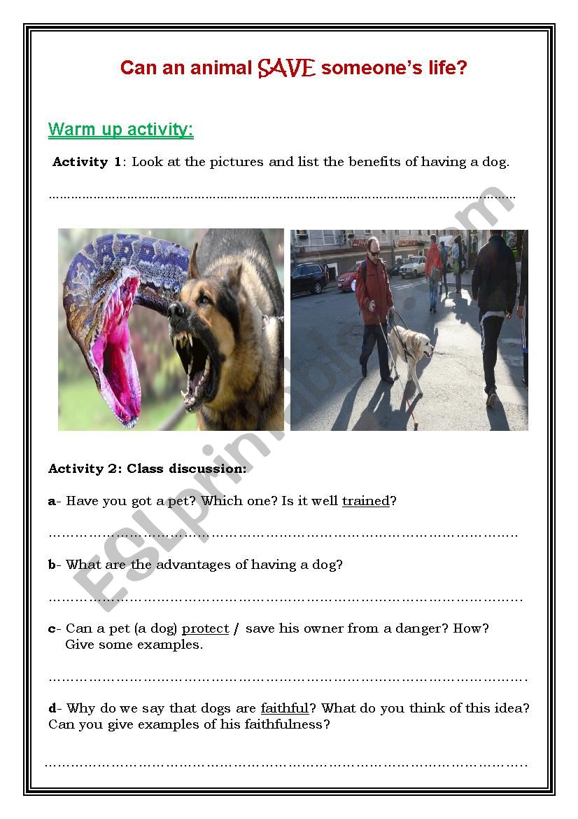 Animals story worksheet