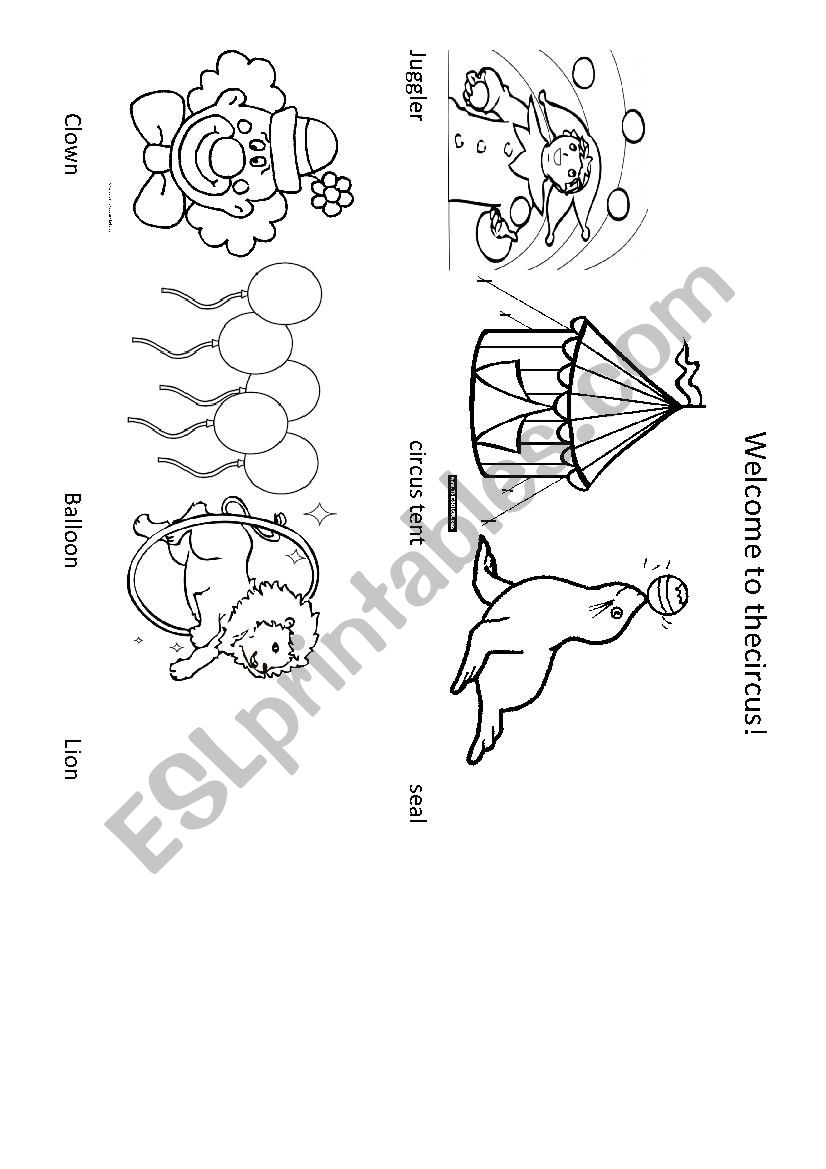 Circus vocabulary worksheet