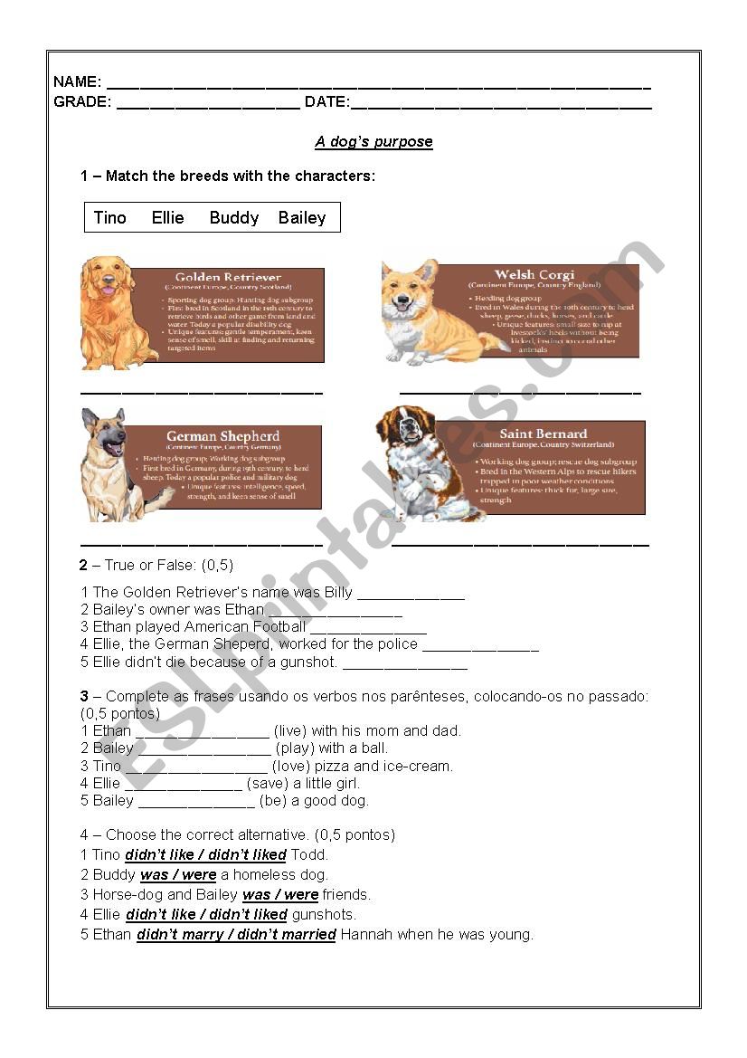 A dog´s purpose movie - ESL worksheet by Flavia Terhaag