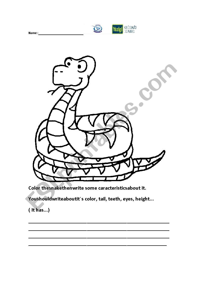 The snake worksheet