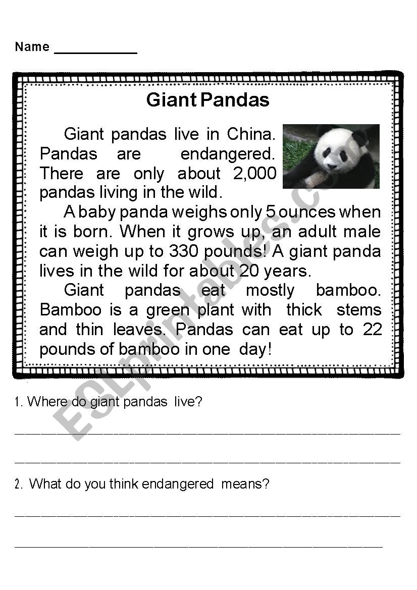 GIANT Panda ESL worksheet By Hihad