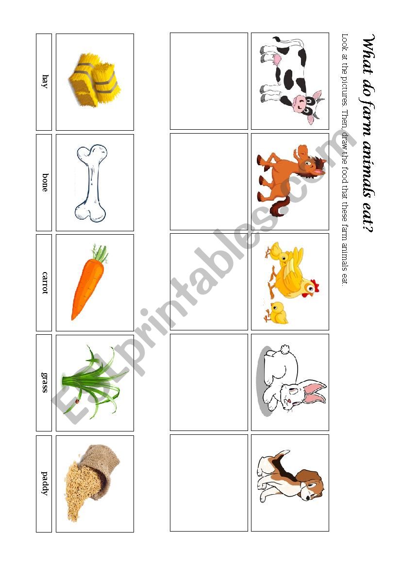 Farm Animals Food And Home Esl Worksheet By Cachualively