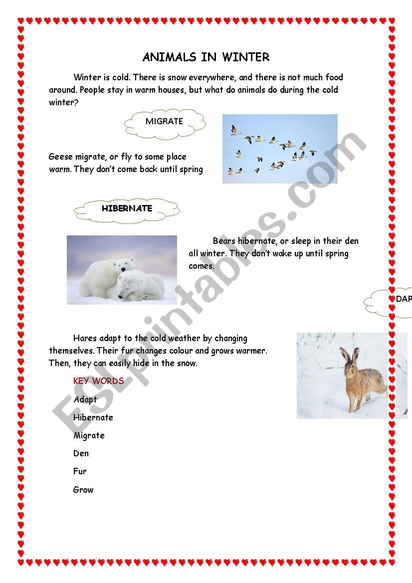 ANIMALS - ESL worksheet by hy.english