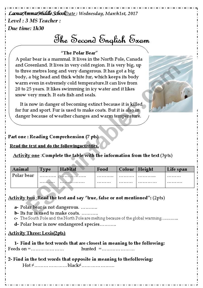 30-polar-puzzle-math-worksheet-answers-support-worksheet