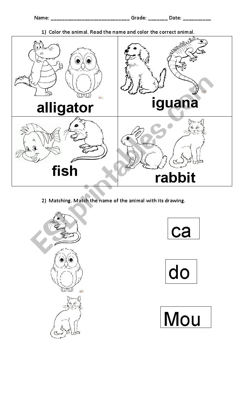 Color the animal worksheet