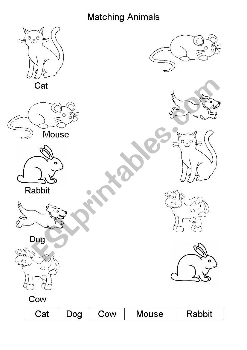 Matching animals - word to picture - ESL worksheet by MissShabo