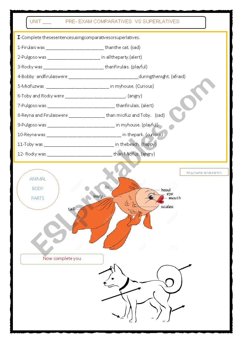      COMPARATIVES  VS SUPERLATIVES  animal parts