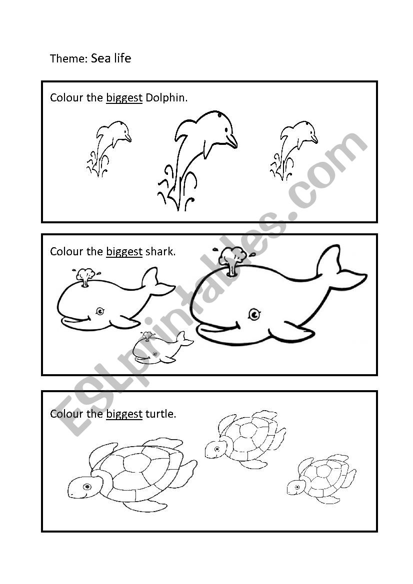 Sealife - Comparative adjectives