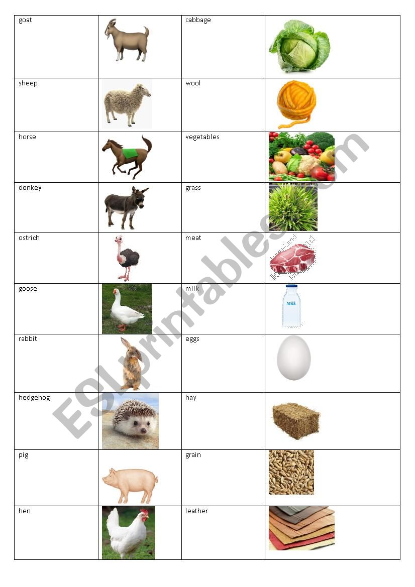 vocabulary-farm-animals-and-what-they-give-us-esl-worksheet-by-irakush
