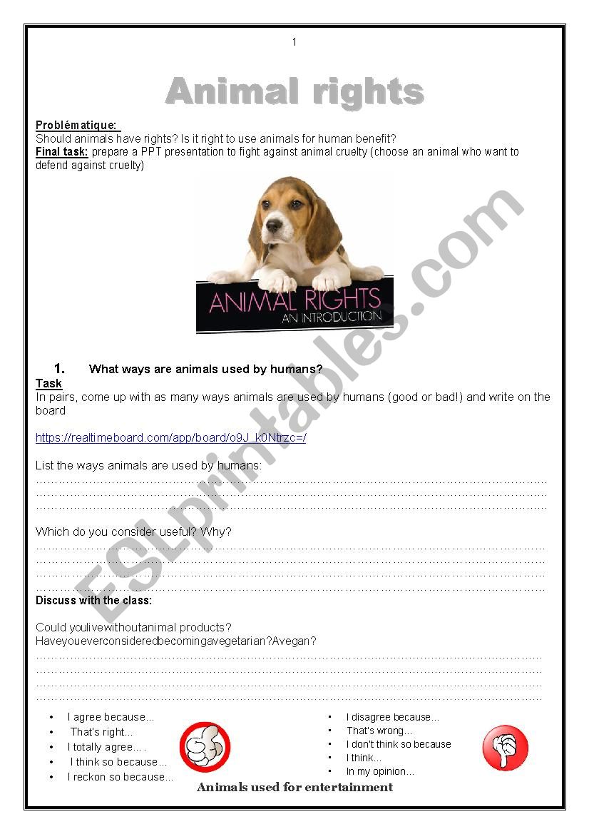 animal rights - ESL worksheet by fab976