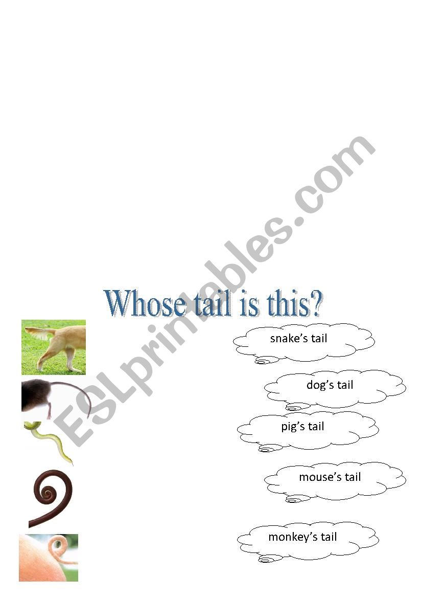 whose tail is thiis - ESL worksheet by alnadavidva