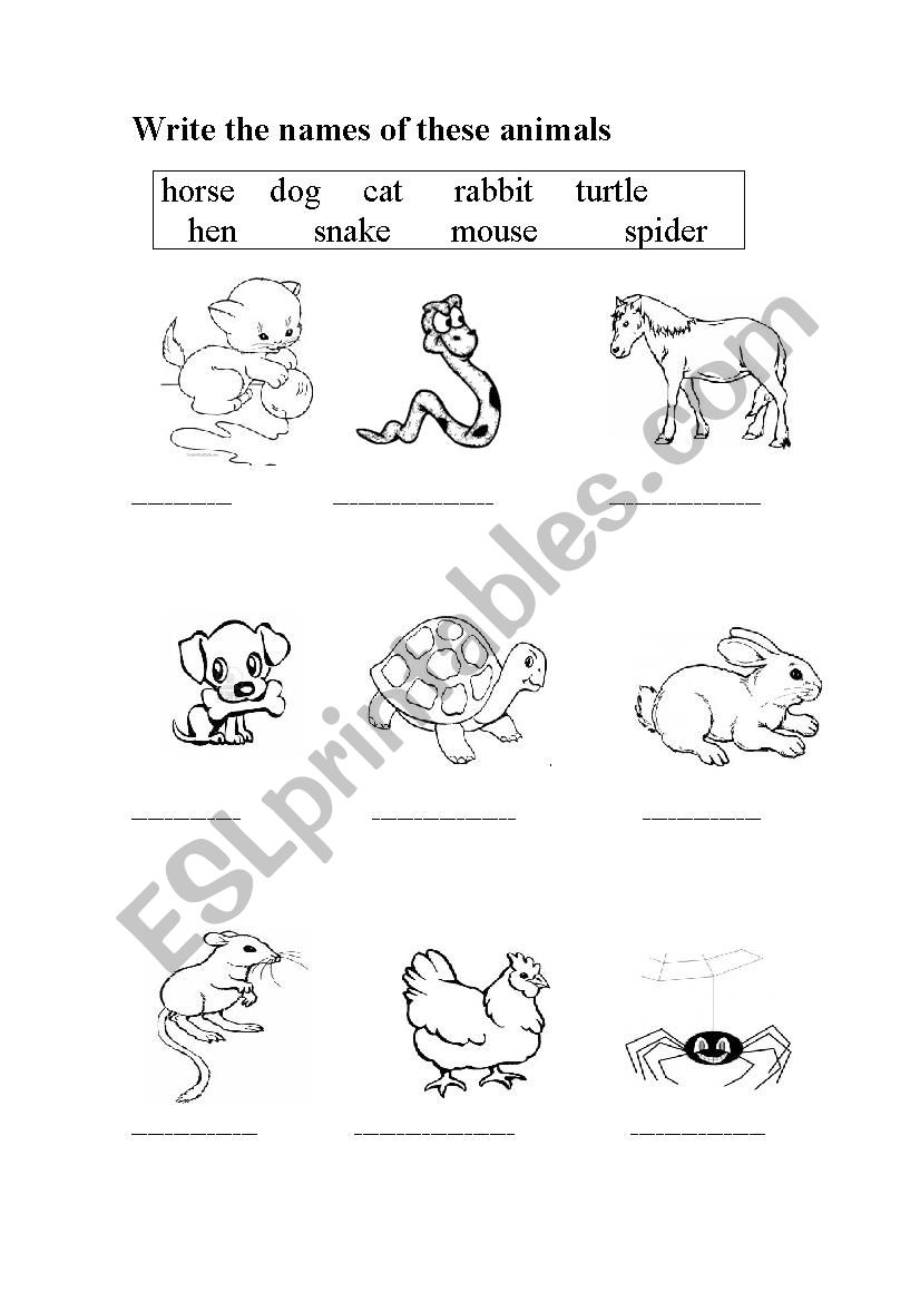 Animals - ESL worksheet by MaryyShelley28