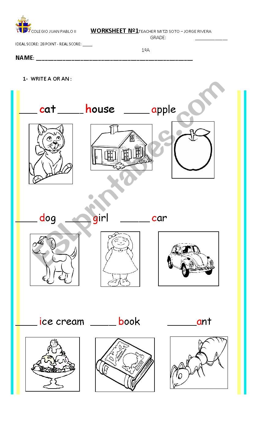 a-an worksheet